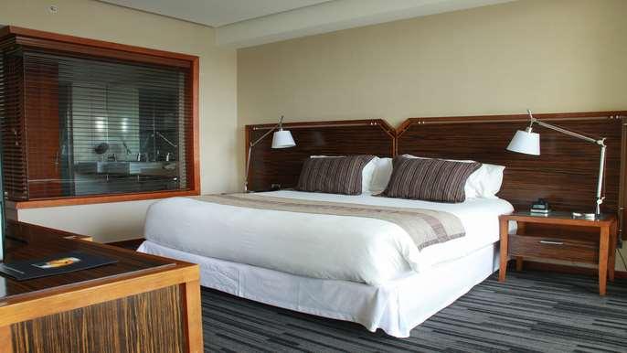 Hotel Dreams Вальдівія Номер фото A bedroom at the hotel